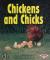 Chickens and Chicks