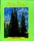 Pine Trees