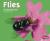Flies