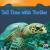 Tell Time with Turtles