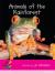 Animals of the Rainforest