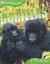 Gorillas