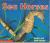 Sea Horses