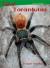 Tarantulas
