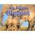 Big, Bigger, Biggest, Math Grades K-1 (Steck-vaughn Shutterbug Books)