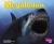 Megalodon