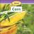 About Corn