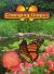 Changing Shapes, Above-level Reader Grade 2 Harcourt School Publishers Science