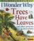 I Wonder Why Trees Have Leaves And Other Questions about Plants