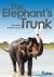 The Elephant's Trunk