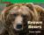 Brown Bears