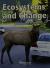Harcourt Science Blw-LV Rdr Ecosystems&change G5 Sci 06