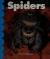Spiders