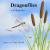 Dragonflies