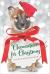 Clementine for Christmas