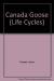 Canada Goose