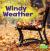 Windy Weather A 4D Book