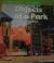 Become an Expert Objects at a Park - Florida