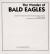 The Wonder of Bald Eagles