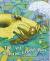 The Ant and the Grasshopper Individual Student Edition Gold (Levels 21-22)