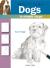How to Draw Dogs in Simple Steps
