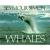 Whales