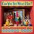 Can You See What I See? Picture Puzzles to Search and Solve