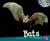 Bats