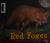 Red Foxes
