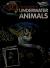 Underwater Animals