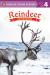 Reindeer On the Move!