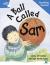 Rigby Star Guided Reading Blue Level: a Ball Called Sam Teaching Version