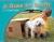 A Game for Scruffy: Leveled Reader Bookroom Package Red (Levels 3-5)