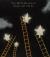 The Lost Stars