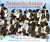 Antarctic Antics A Book of Penguin Poems