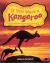 Discovery Phonics: If You Were A Kangaroo