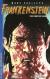 Mary Shelley's Frankenstein The Graphic Novel