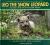 Leo, the Snow Leopard The True Story of an Amazing Rescue