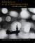Reflections on a Gift of Watermelon Pickle