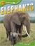 Elephants