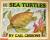 Sea Turtles