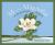 M Is for Magnolia A Mississippi Alphabet Book