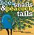 Bees, Snails, & Peacock Tails Patterns & Shapes-- Naturally