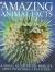 Amazing Animal Facts