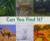Ready Readers, Stage Zero, Book 22, Can You Find It?, Single Copy