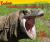 Komodo Dragons