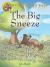The Big Sneeze