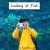 Looking at Fish