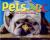 Pets ABC An Alphabet Book