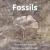 Fossils